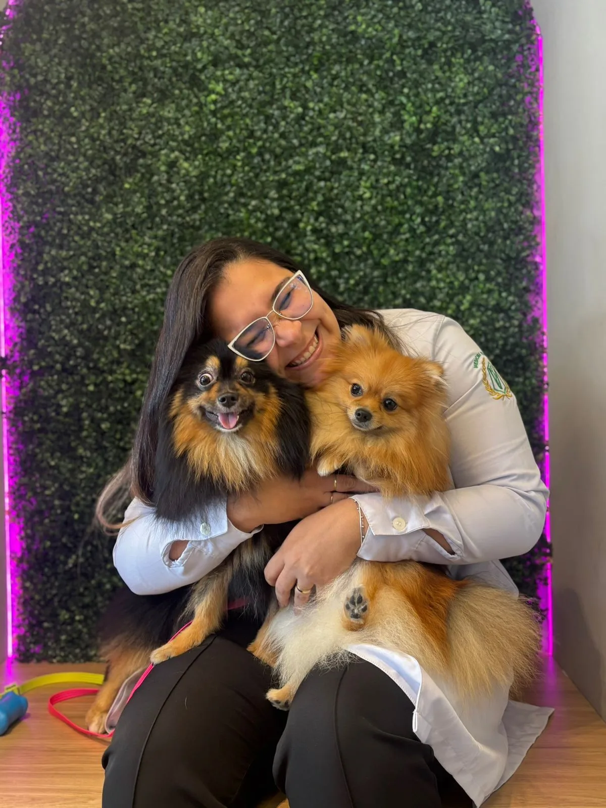 Pet atendido no Lírios Vet Spa em Boa Viagem, Recife